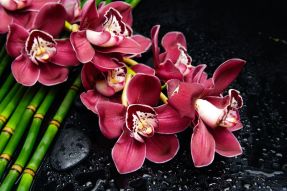 Фотообои Ветка орхидеи и бамбук