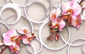 Фреска Нежные 3D орхидеи и кольца