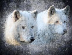 Фреска Белые волки