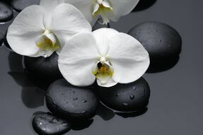 Фреска Белоснежные лепестки орхидеи