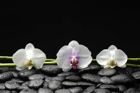 Фреска Три цветка на камнях